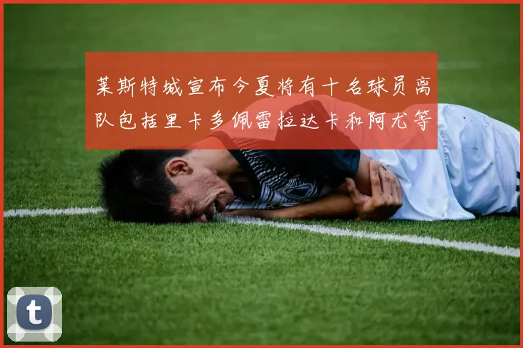 莱斯特城宣布今夏将有十名球员离队包括里卡多佩雷拉达卡和阿尤等人