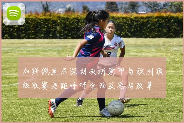 加斯佩里尼深刻剖析意甲与欧洲顶级联赛差距呼吁全面反思与改革