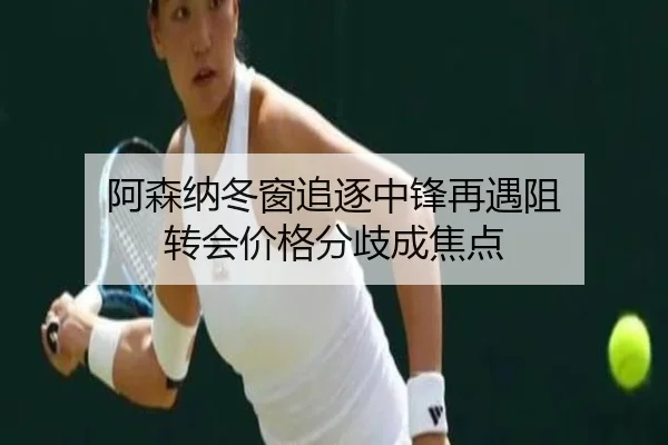 阿森纳冬窗追逐中锋再遇阻 转会价格分歧成焦点（XingkongSports）